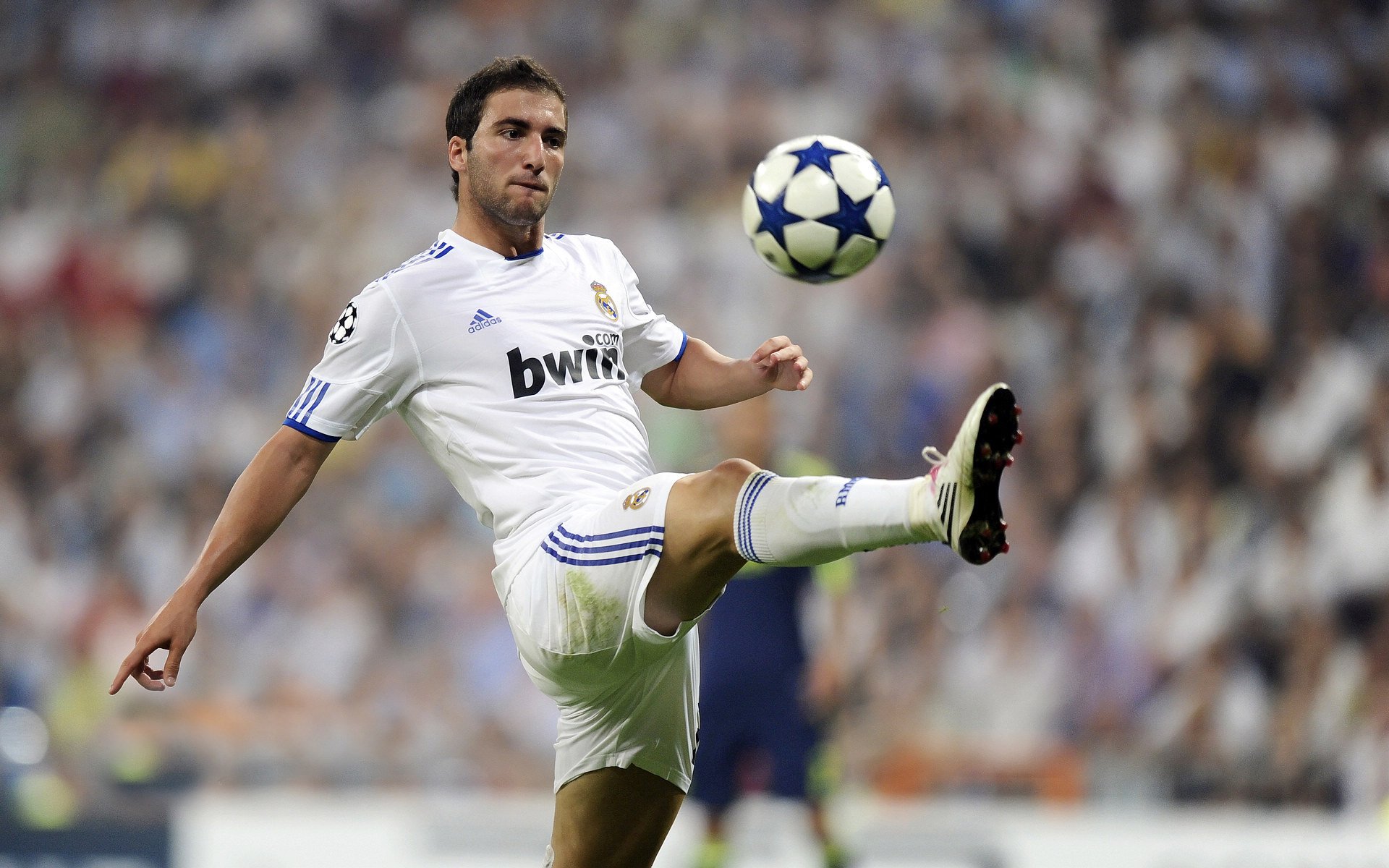 鹈鹕轻取辽宁队，武切维奇关键节点连续得分背后的战术博弈与心理密码